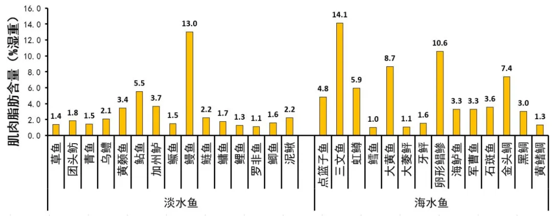 “肥鱼之美”的科学诠释-8.png