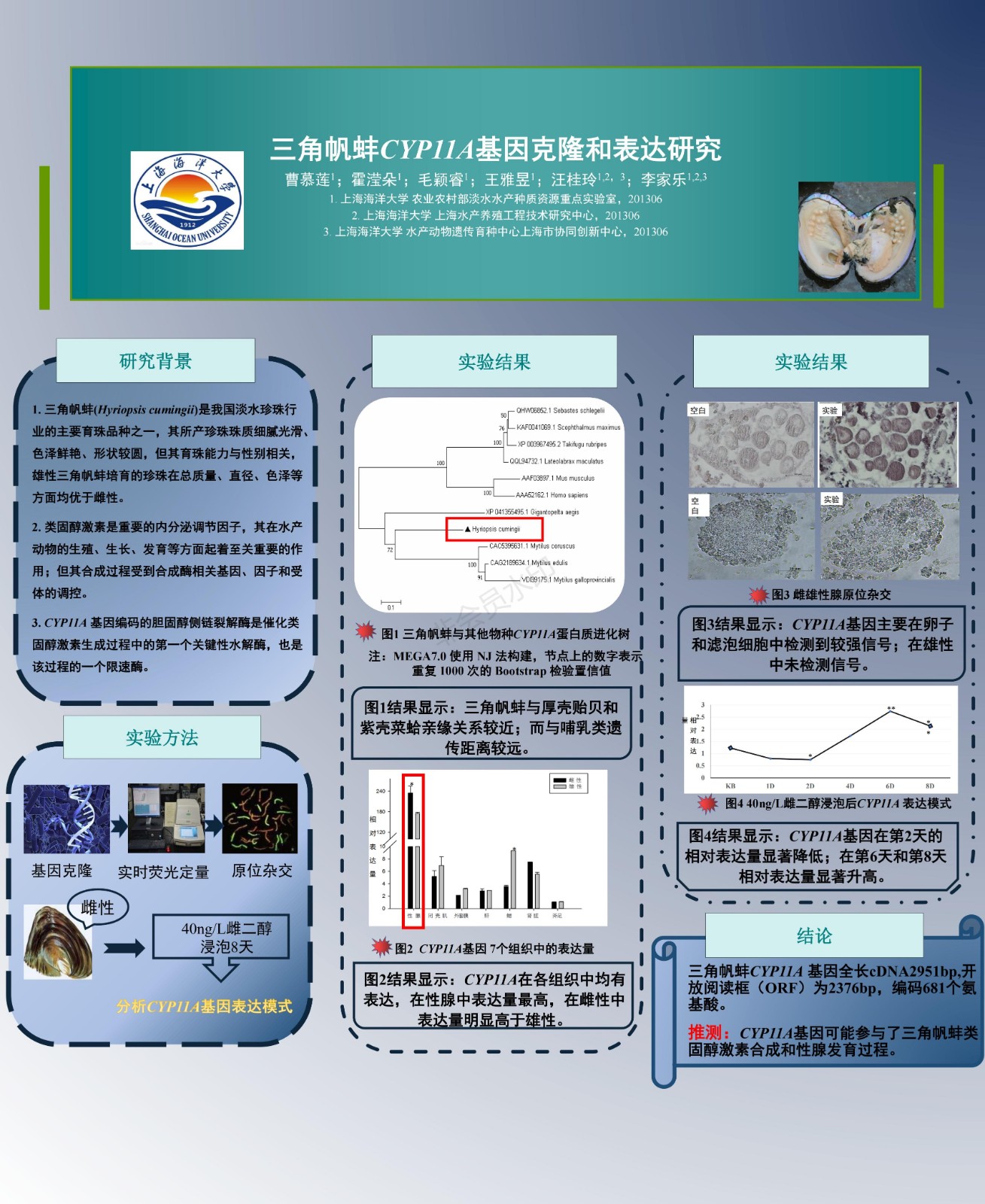 电子墙报集_01.jpg