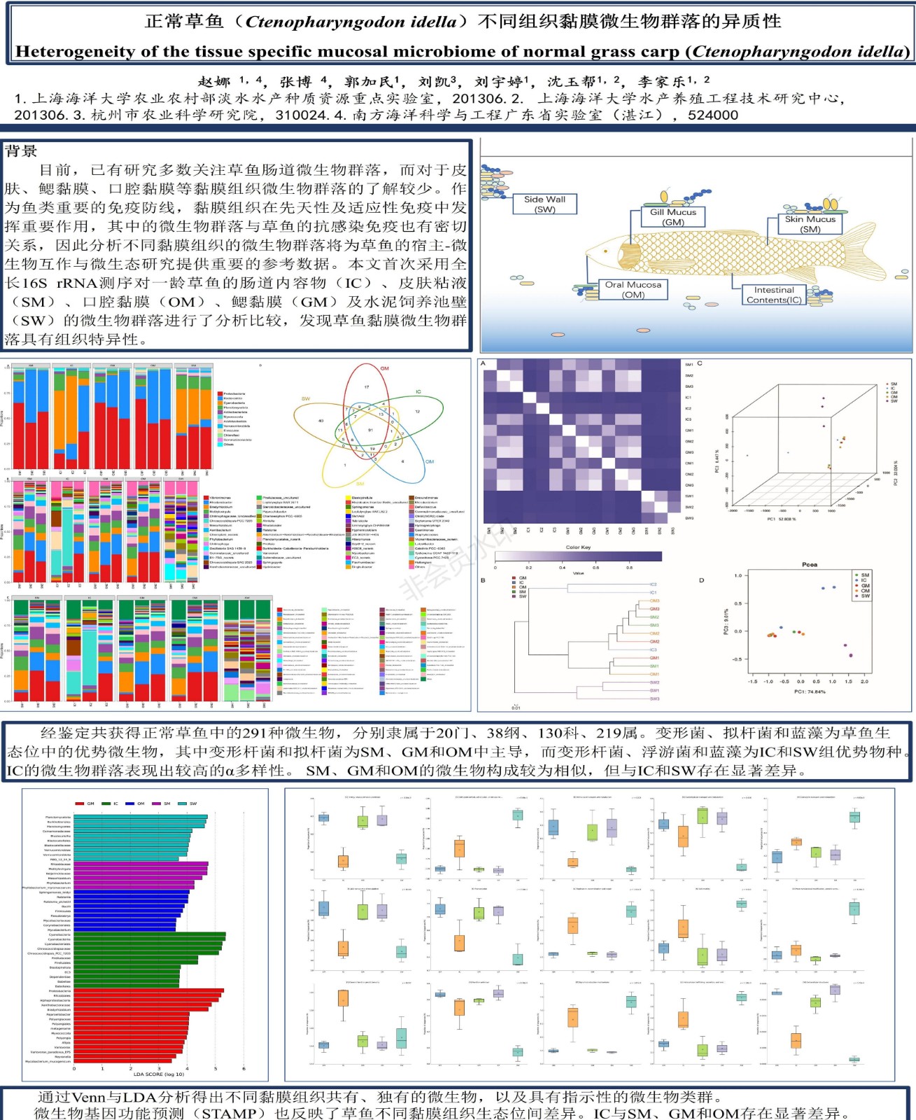 电子墙报集_24.jpg